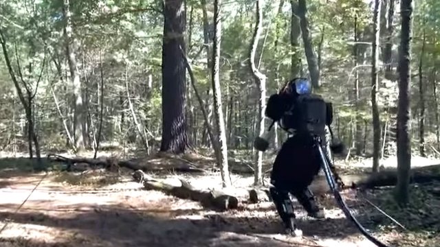 Atlas robot in forest