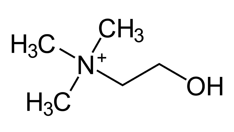 Fórmula química da colina