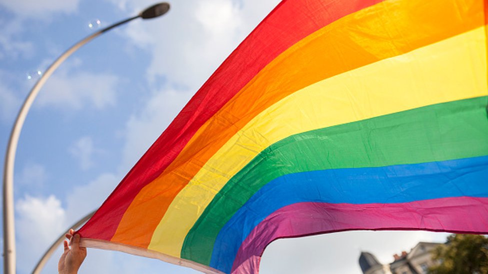 Участник держит флаг гордости во время марша ЛГБТ в Германии
