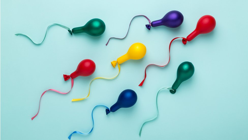 Espermatozoides de colores