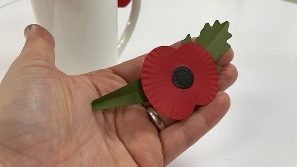 How the Poppy is changing in 2023 - Innovation of the Poppy 