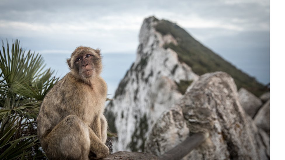 El peñón de Gibraltar