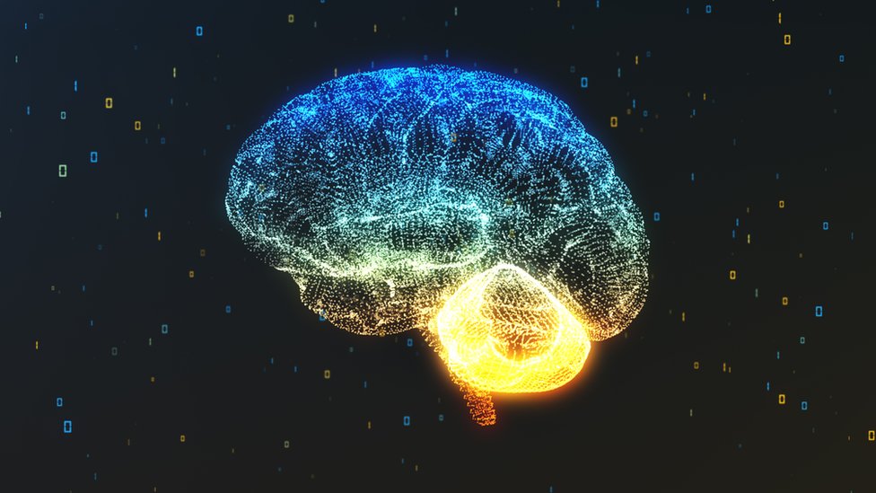   Illustration of the brain 