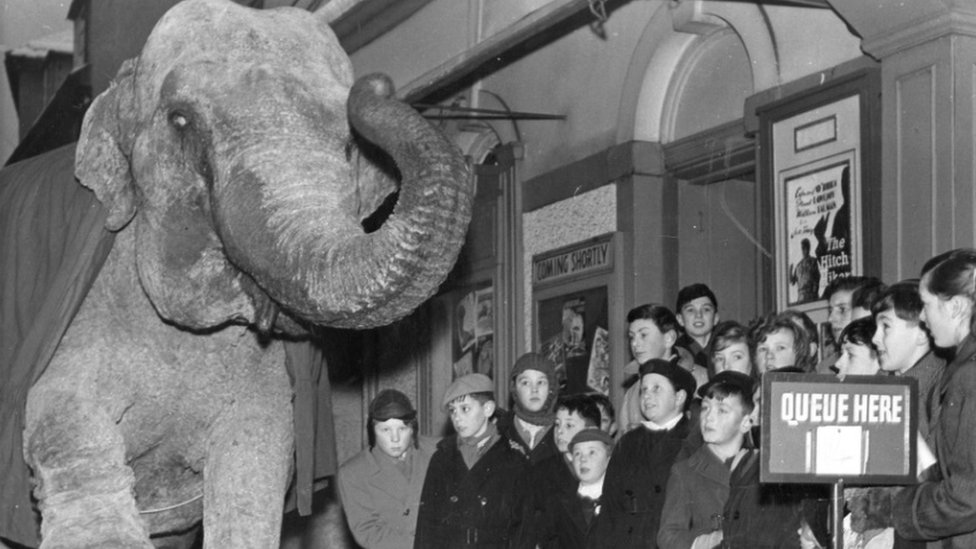 Слон исполняет трюки возле театра графства Херефорд, 1950-е годы
