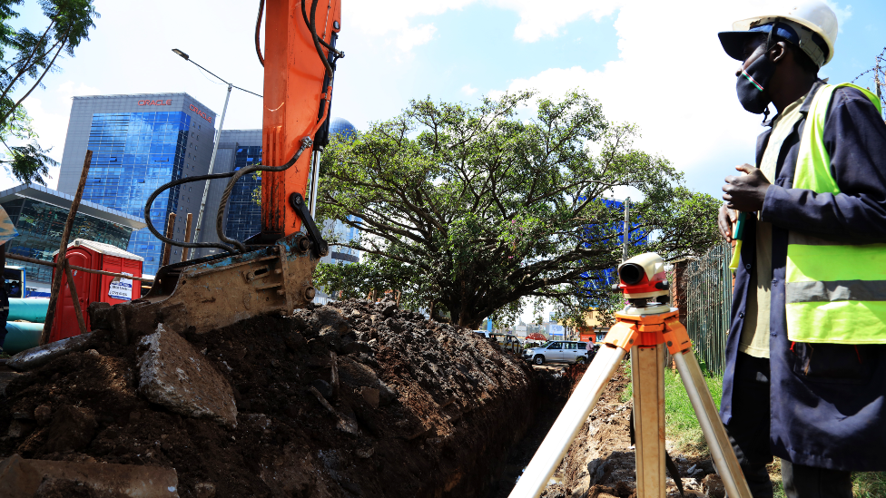 A trench being built around the fig tree in Nairobi, Kenya