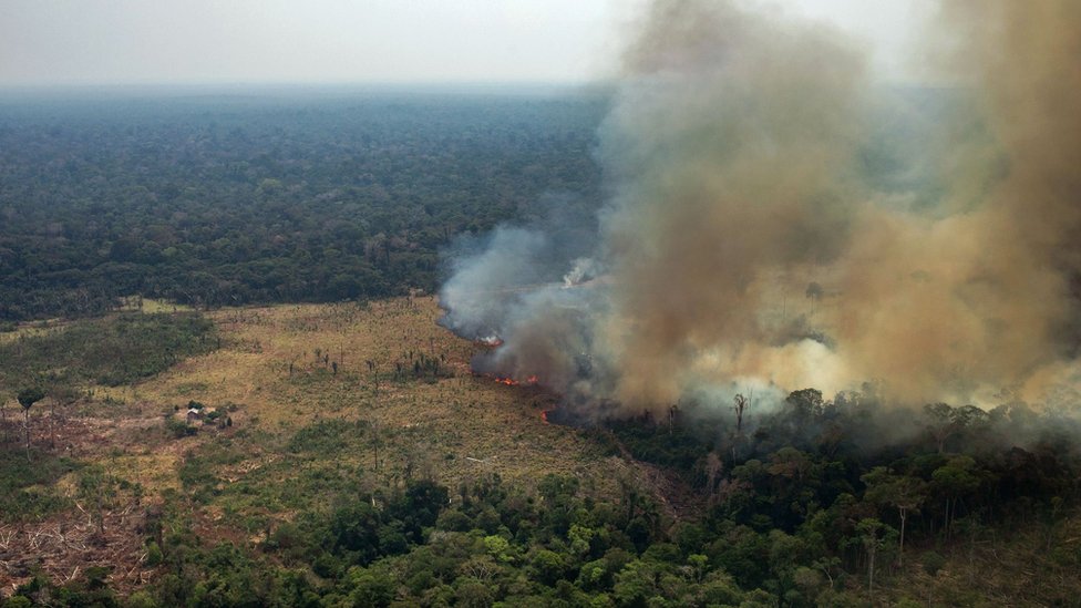 Incendios en la Amazonía