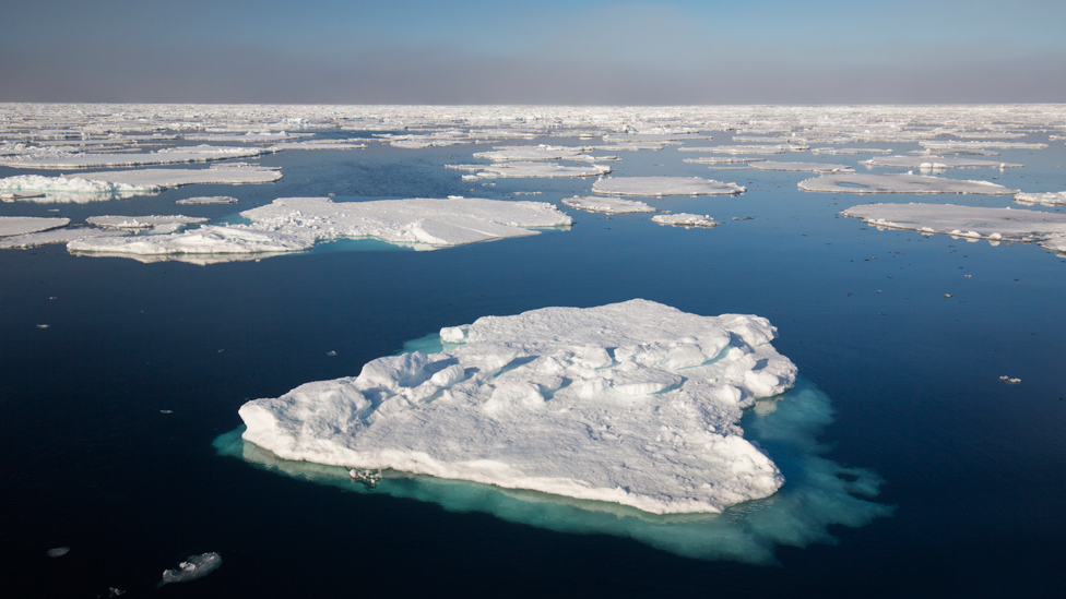 Hielo flotando en el océano en el Ártico