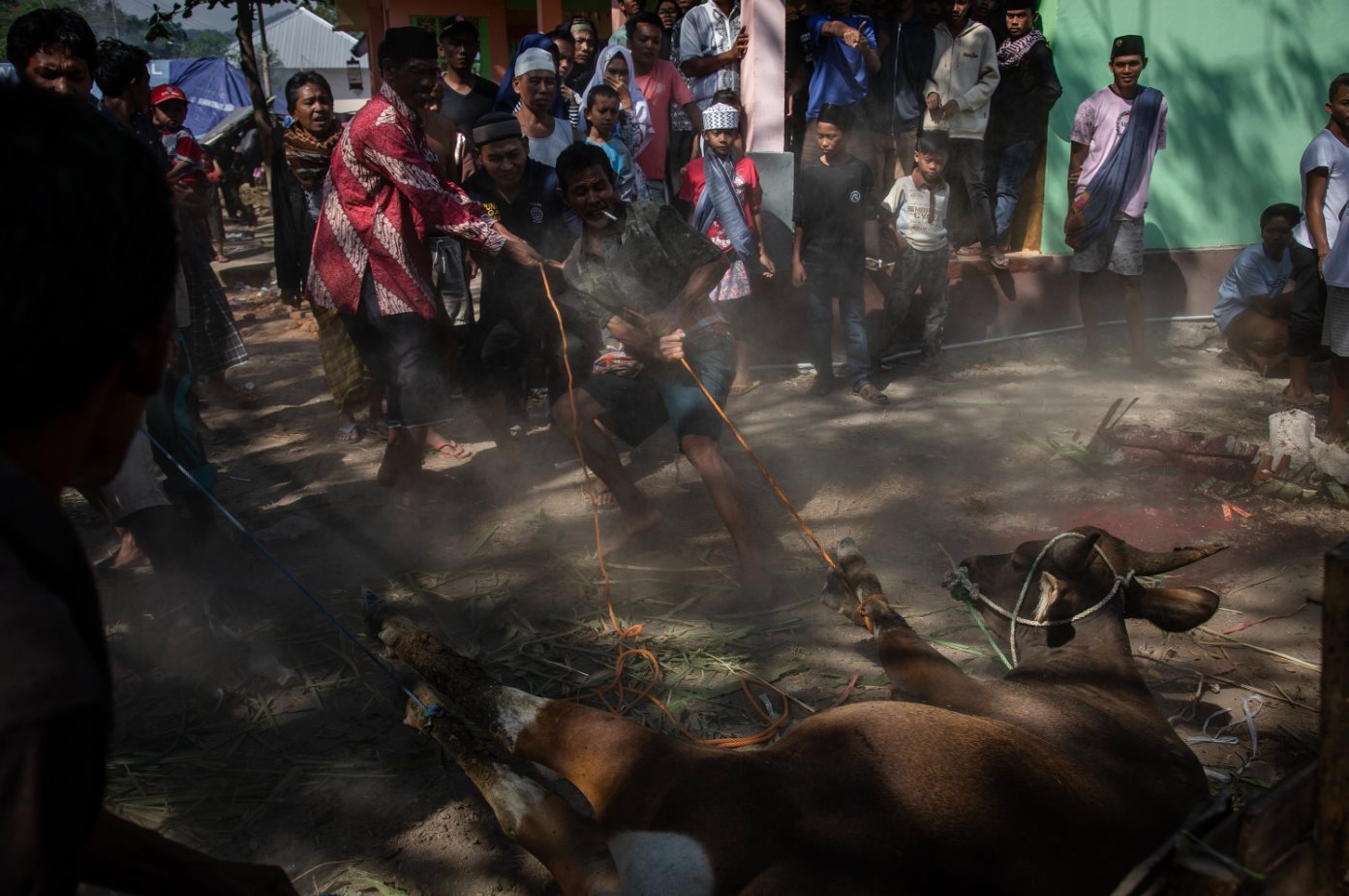 Ulet Ifansasti/Getty Images