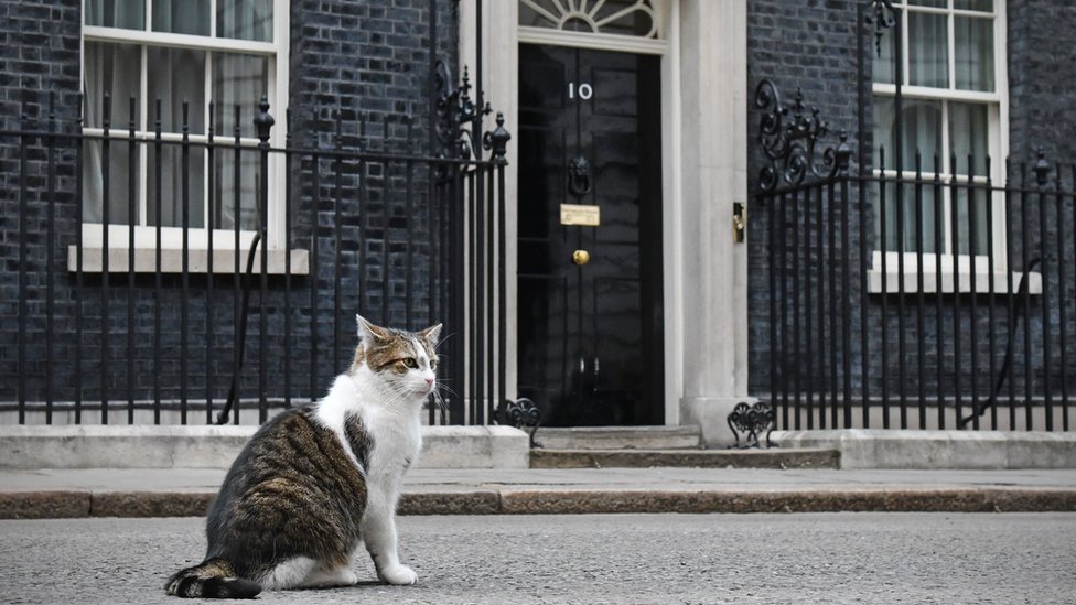 El gato Larry frente al número 10 de Downing Street en Londres.