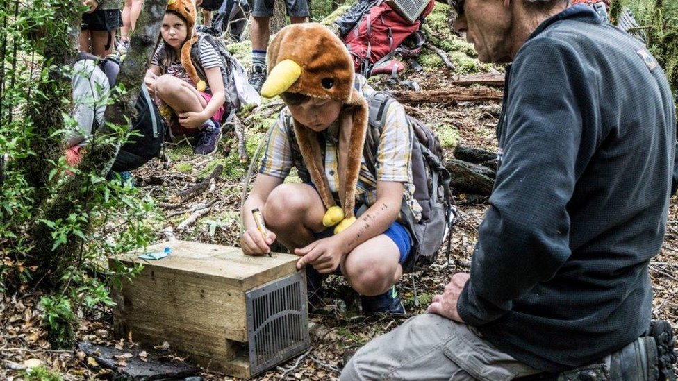 Защитники природы установили ловушку для хищников