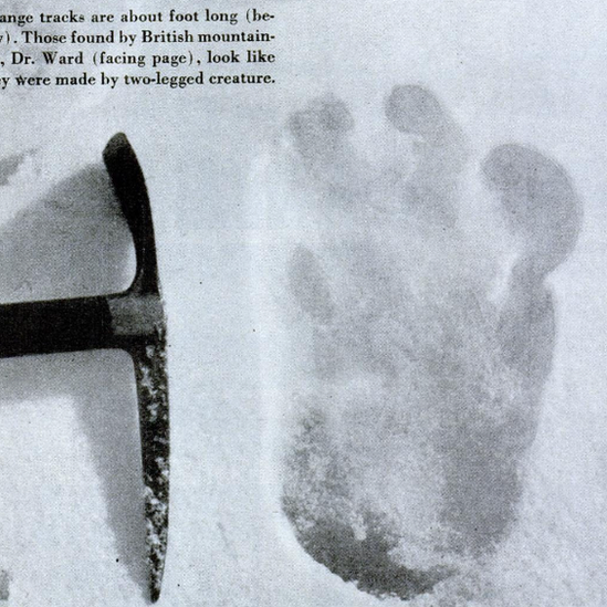 Una supuesta huella de yeti registrada por una expedición al Everest en 1951. Huella de un supuesto yeti