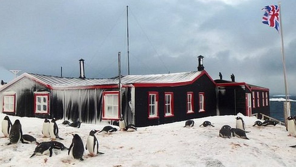 Post office team picked for Antarctic Port Lockroy base - BBC News