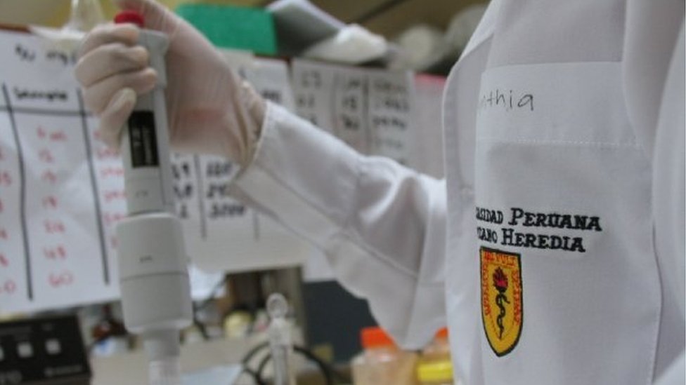 Experimento con maca peruana en un laboratorio