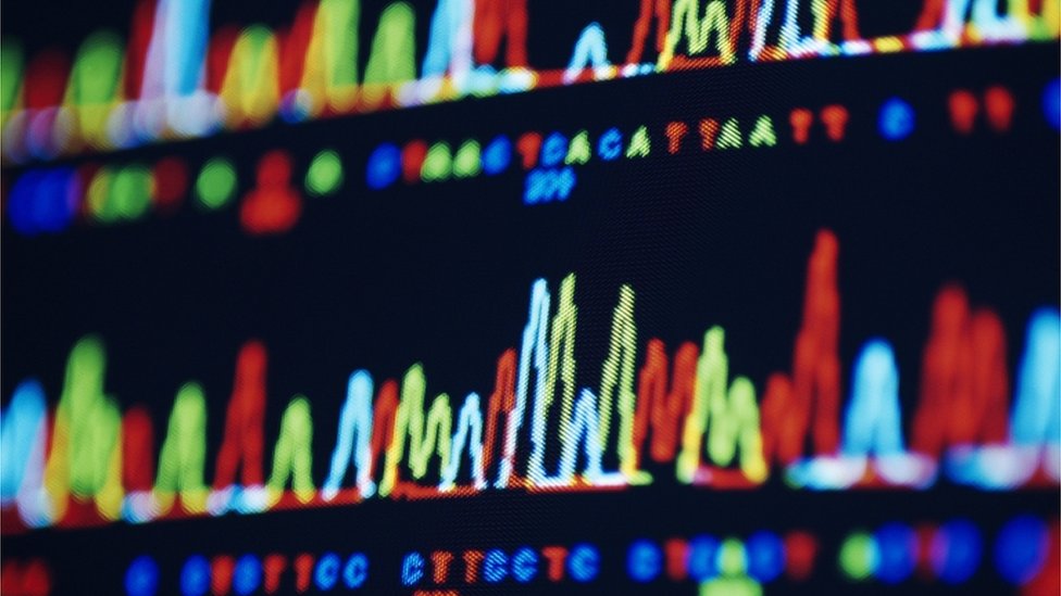 基因測序，電腦顯示屏