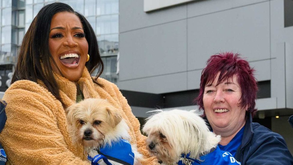 Itv hotsell dog programme