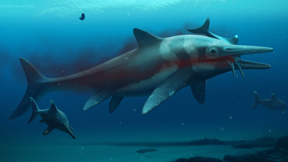 Ilustração de como seria um ictiossauro, lembrando um peixe comprido com uma mandíbula comprida