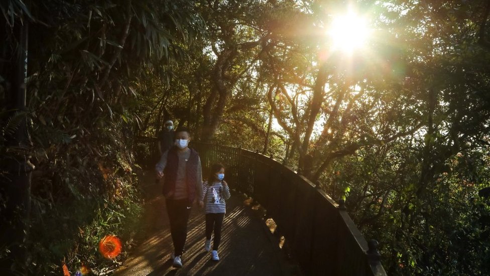 A family walk along a hiking trail in Hong Kong, as sunlight filters through the trees