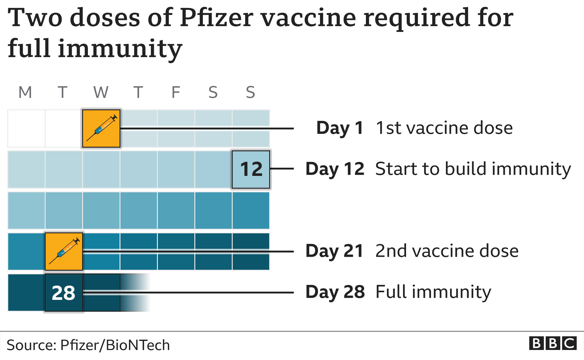 Календарь, показывающий время введения двух доз вакцины Pfizer