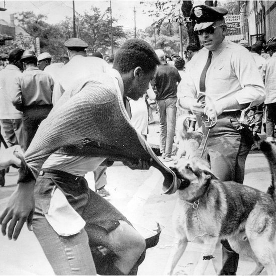 1963年亞拉巴馬州反種族隔離示威遊行者遭警犬襲擊