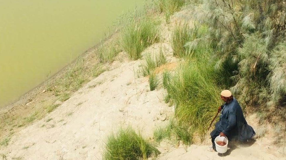 İran'da su krizi: Timsahlar insanlara saldırıyor