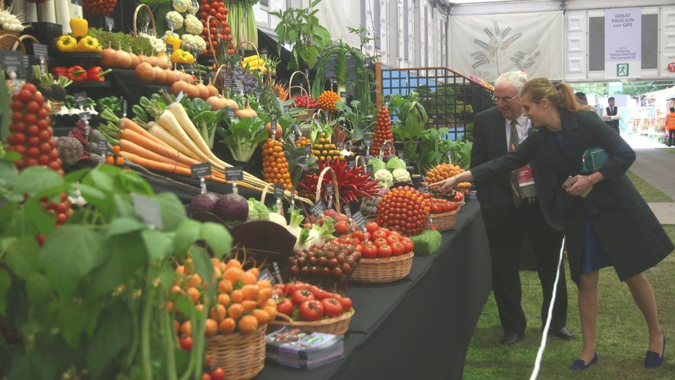 Медвин Уильямс показывает принцессе Беатрис Йоркской свою овощную экспозицию на выставке RHS Chelsea Show, 2019