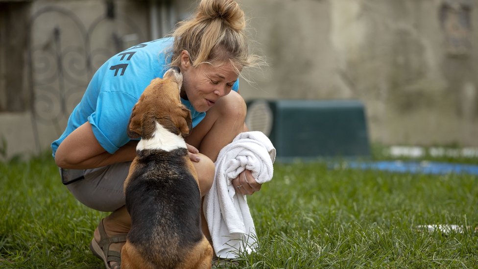 Sue Bell laughs as she is licked by a beagle at Homeward Trails Animal Rescue in Fairfax, Virginia on July 21, 2022. (Photo by Ryan M. Kelly for The Washington Post via Getty Images)