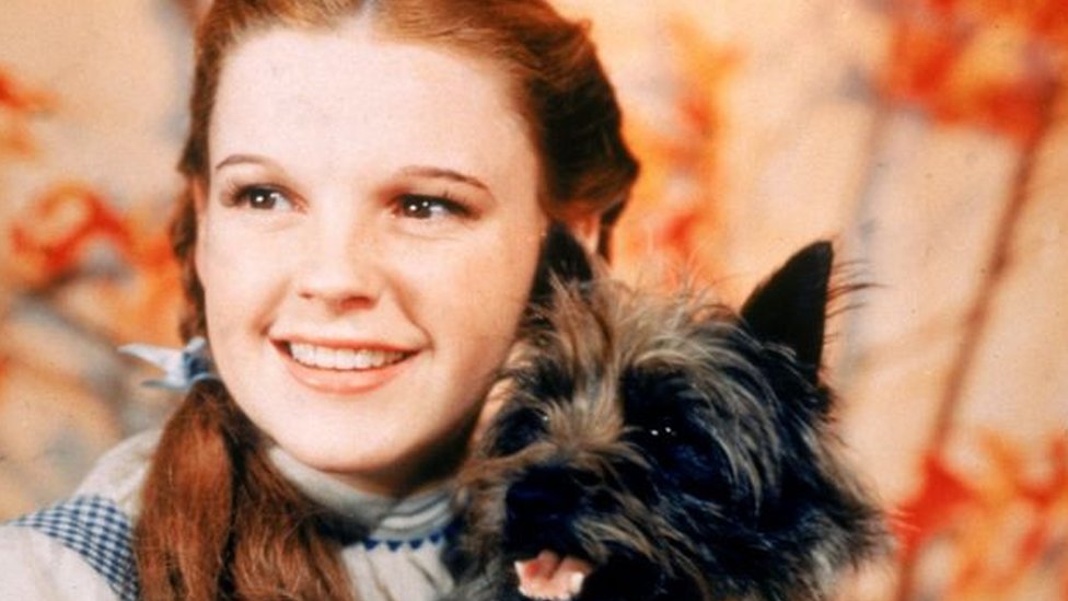 جودي غارلاند