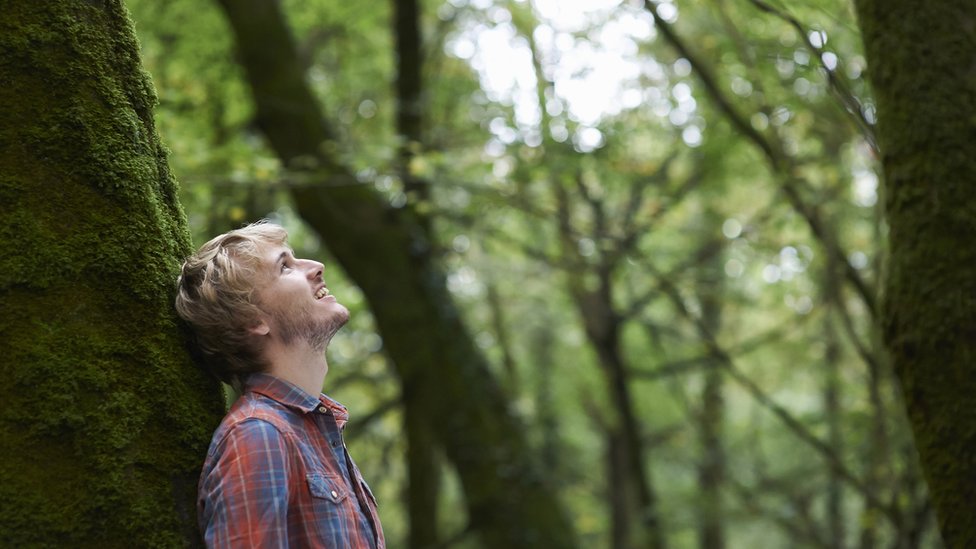 Un joven en un bosque.