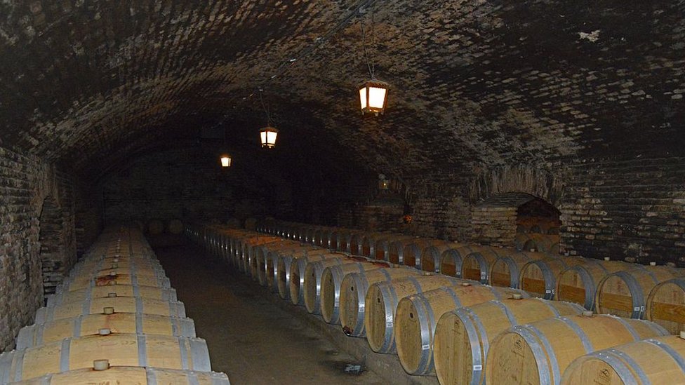 Concha y Toro también fue elegida como la marca de vinos "más poderosa" en 2014 y 2015, por la consultora inglesa Intangible Business. Bodega de Concha y Toro.