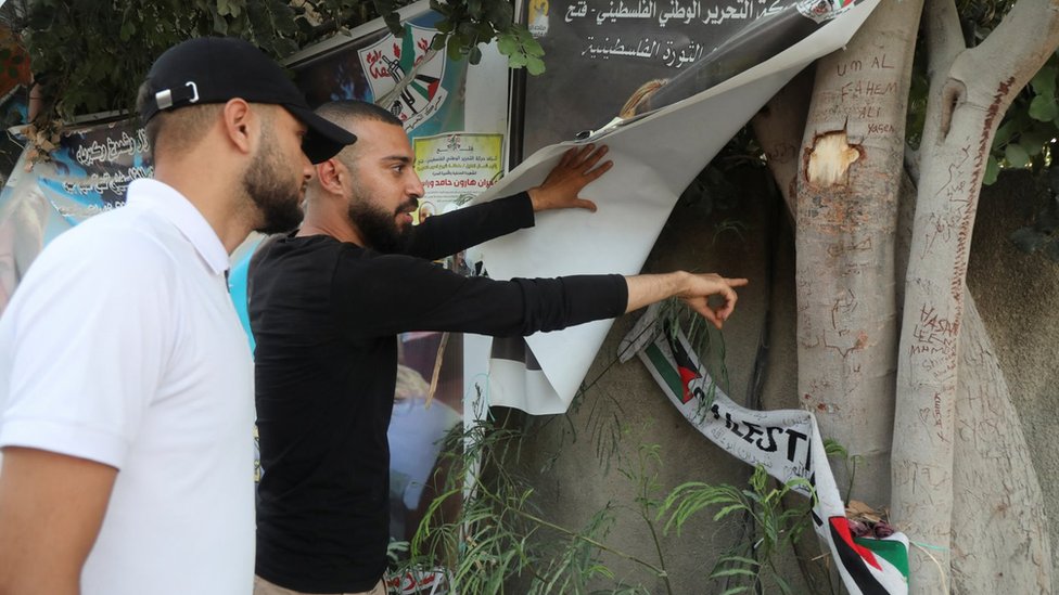 Palestinos señalan los agujeros de bala en el árbol
