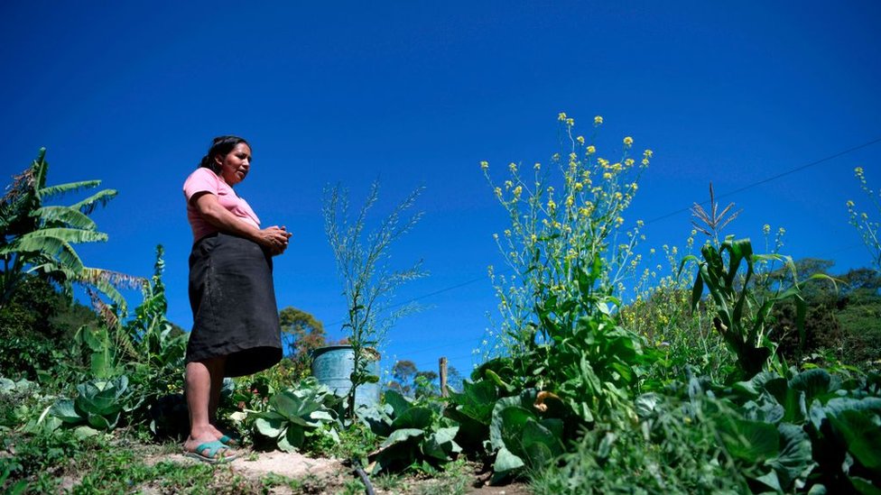 Una mujer en el campo de Guatemala