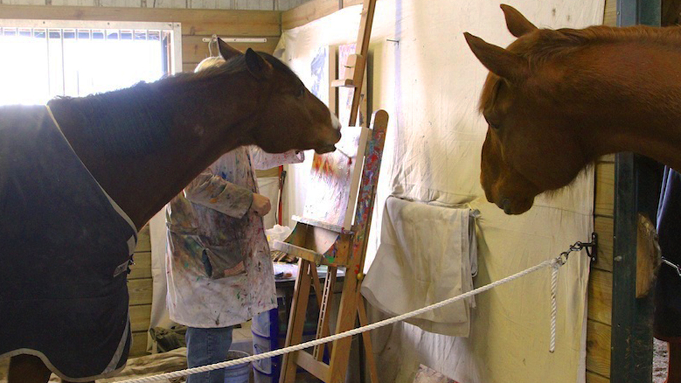 The Horse That Saved His Own Life By Painting c News