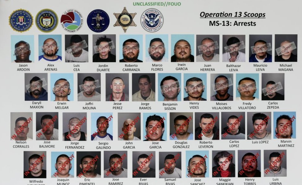 Dos docenas de presuntos miembros de la MS-13 detenidos en el Condado de Los Ángeles en mayo de 2017 tras una investigación federal de crimen organizado.