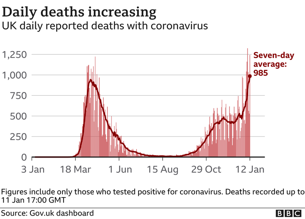 UK daily deaths graphic