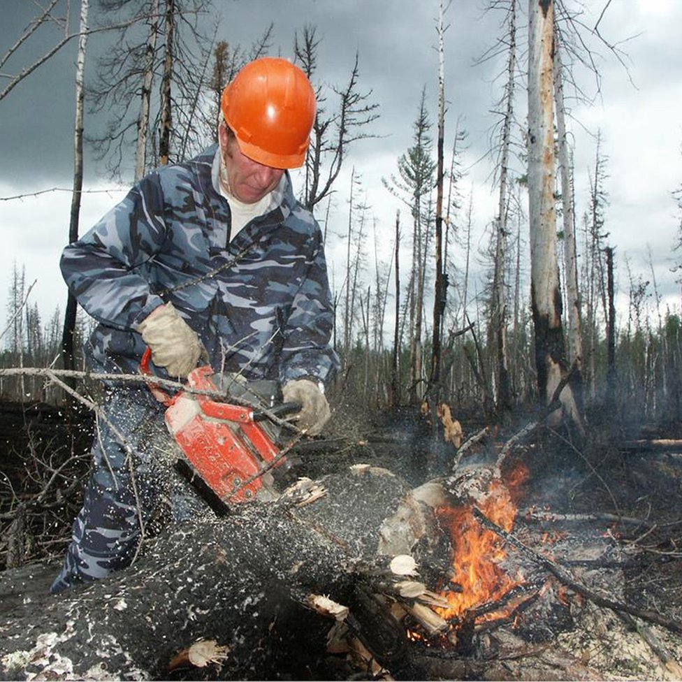 In Pictures: Russia's Massive Wildfires Rage On - BBC News