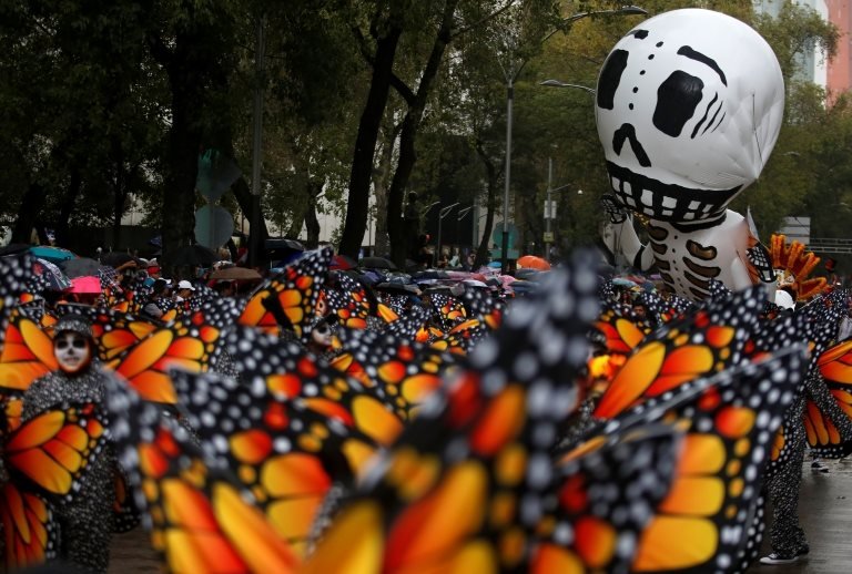 الفراشات ظهرت في المكسيك تمثيلا للمهاجرين الذين يتدفقون بأعداد كبيرة للبلاد كل عام