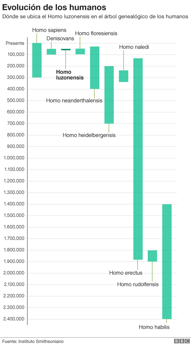 Infografía