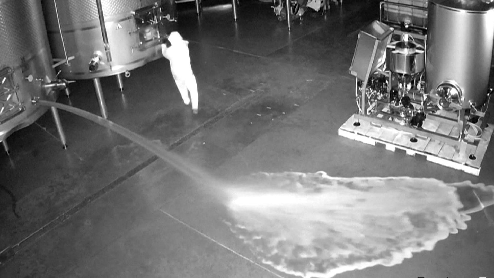 Intruder spills 60,000 litres of wine worth €2.5m at Spanish