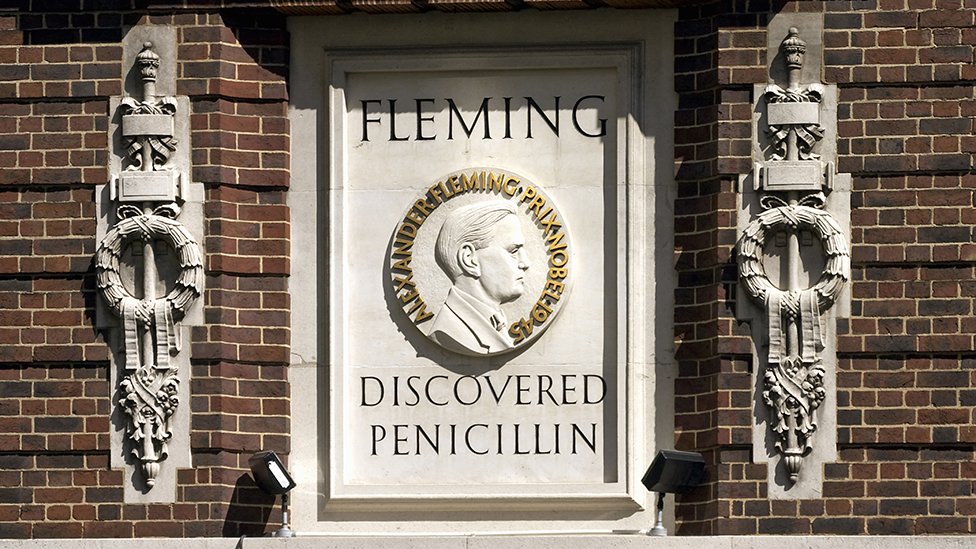 Un memorial en homenaje a Alexander Fleming en el St Mary's Hospital de Londres