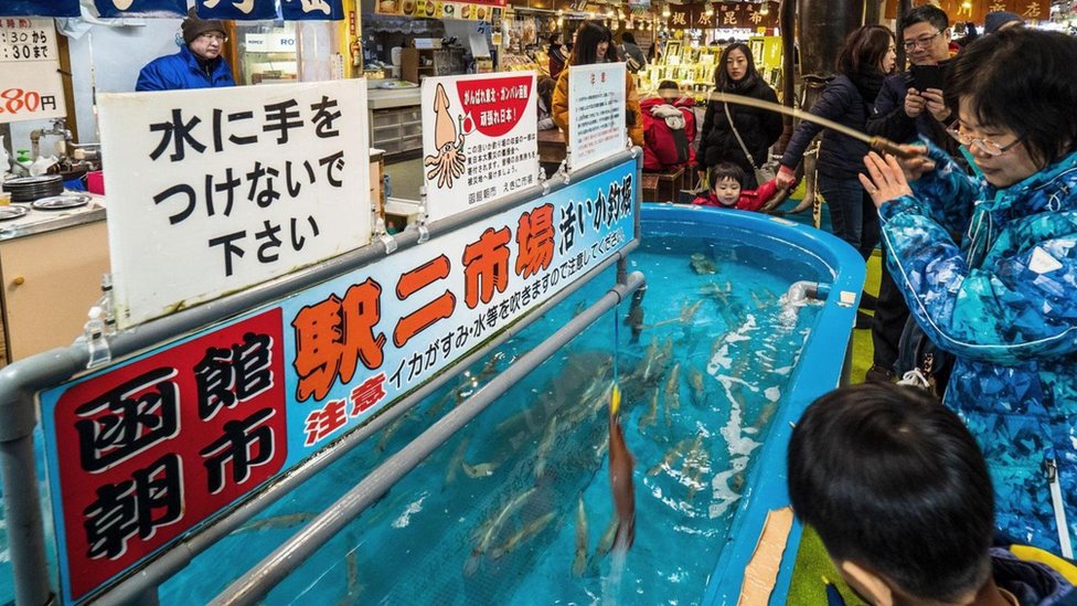 Tanques con peces