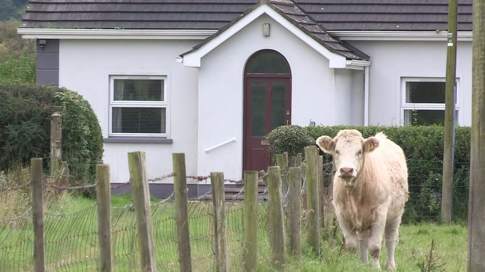 Дом с коровой в поле