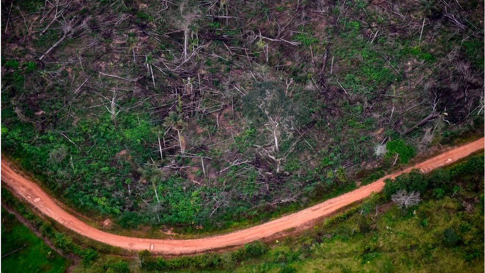 вырубка лесов в Национальном природном парке в Ла-Макарена, департамент Мета, Колумбия