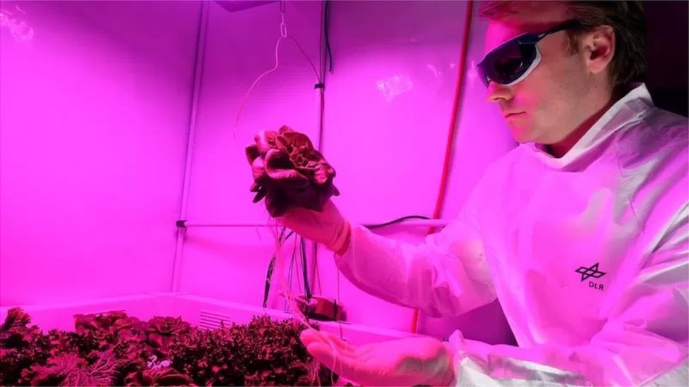 歐洲太空總署（The European Space Agency）也進行了在太空中種植蔬菜的實驗。