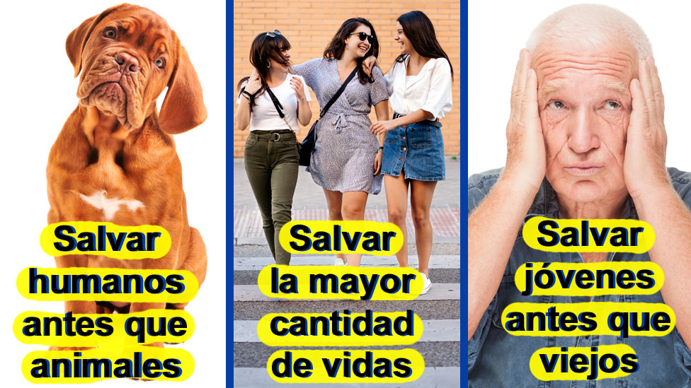 3 resultados del estudio: Salvar humanos antes que animales; jóvenes antes que viejos; muchos antes que pocos.