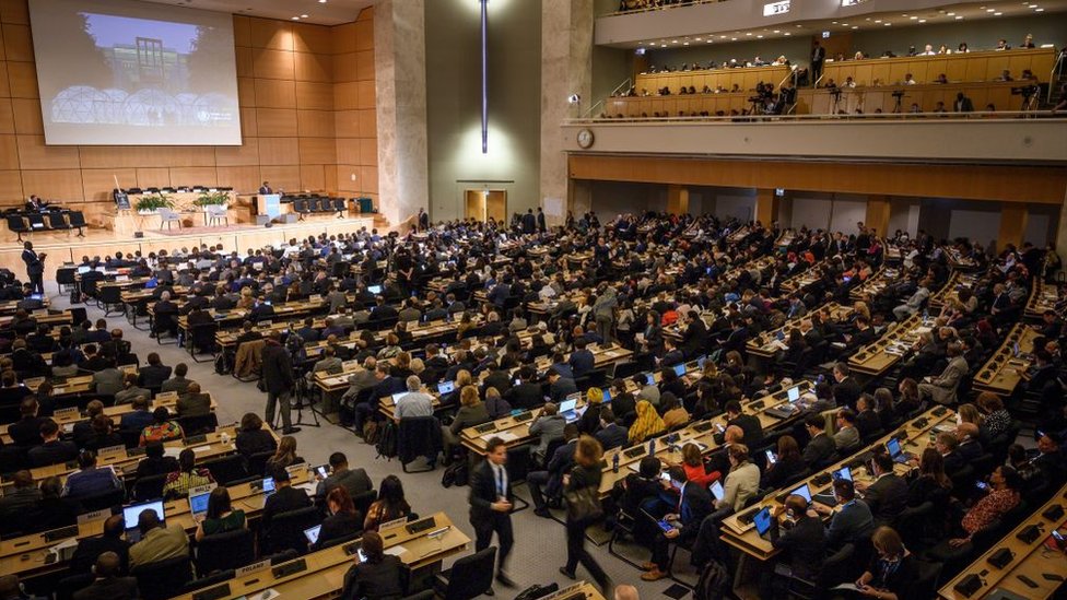 Asamblea anual de la OMS