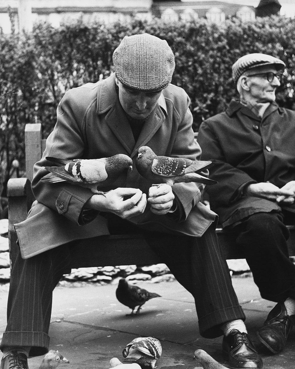 Двое мужчин сидят на скамейке, один с голубями на руках