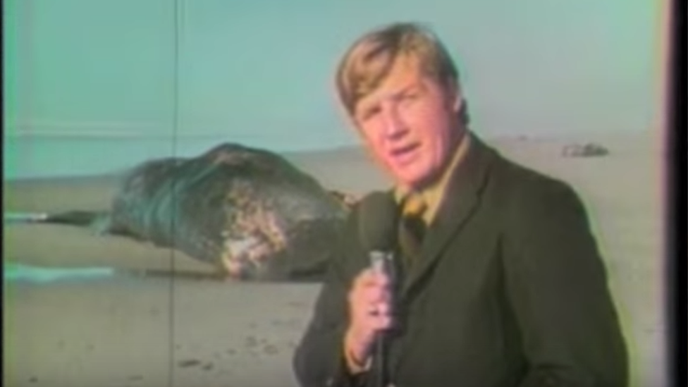 Paul Linnman y un camarógrafo cubrieron la noticia para una televisora local en 1970. Décadas después, el video se volvió viral. Foto: The Exploding Whale/YouTube. The Exploding Whale/YouTube