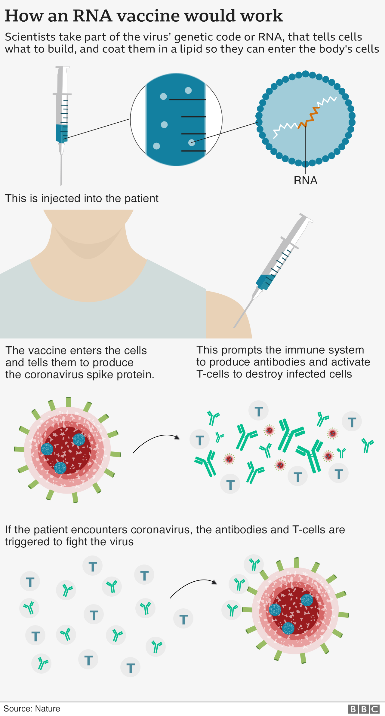 Covid vaccine Pfizer says '94 effective in over65s' BBC News