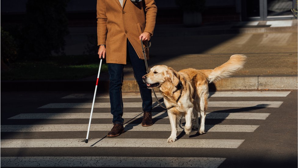 Hombre ciego con bastón y perro