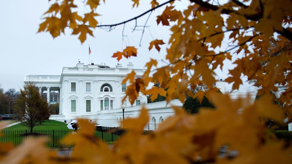 White House with leaves